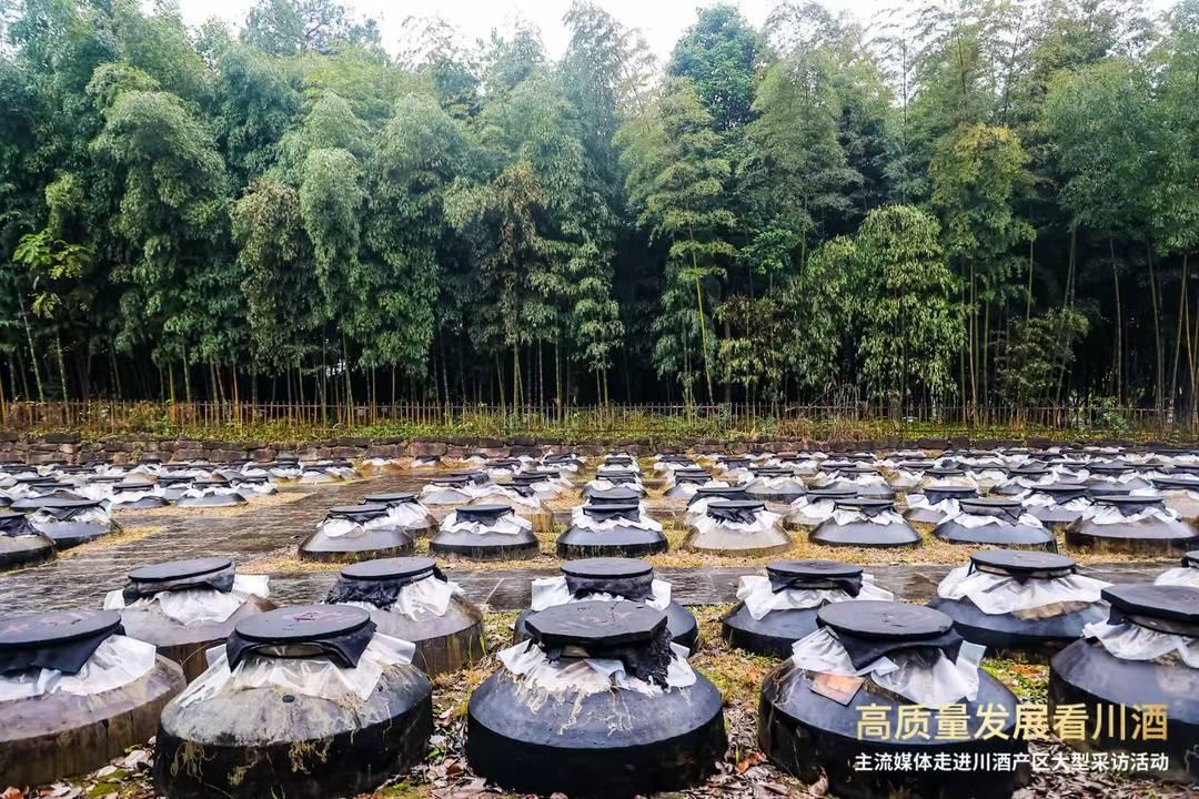 整合全市酒类资源 成都5家国企合投5亿成立成都蓉酒酒业丨封面观酒